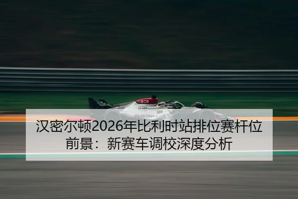 han-mi-er-dun-nian-bi-li-shi-zhan-pai-wei-sai-gan-wei-qian-jing-xin-sai-che-diao-xiao-shen-du-fen-xi-3-619.jpg